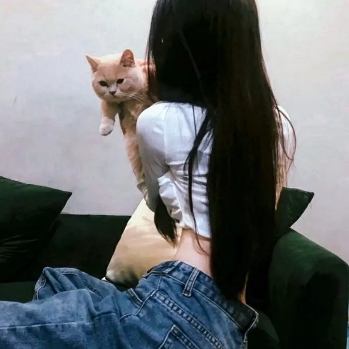 亢奋第二季