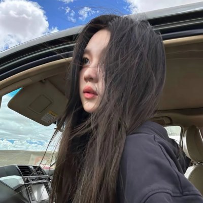 美国豚鼠
