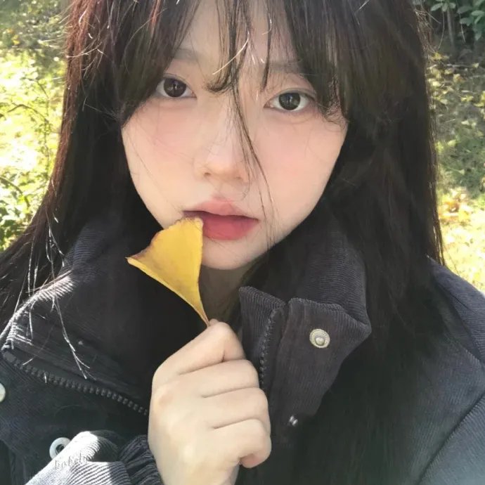 木棉花的春天
